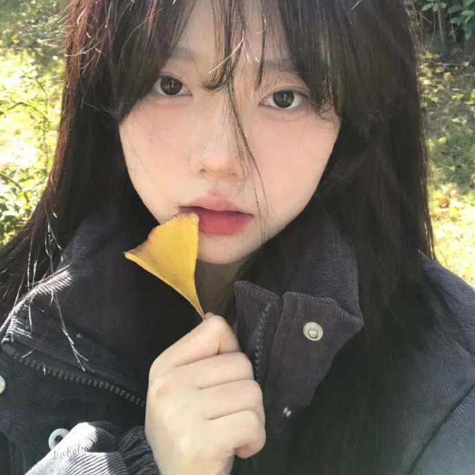 野良猫洛克：女番长